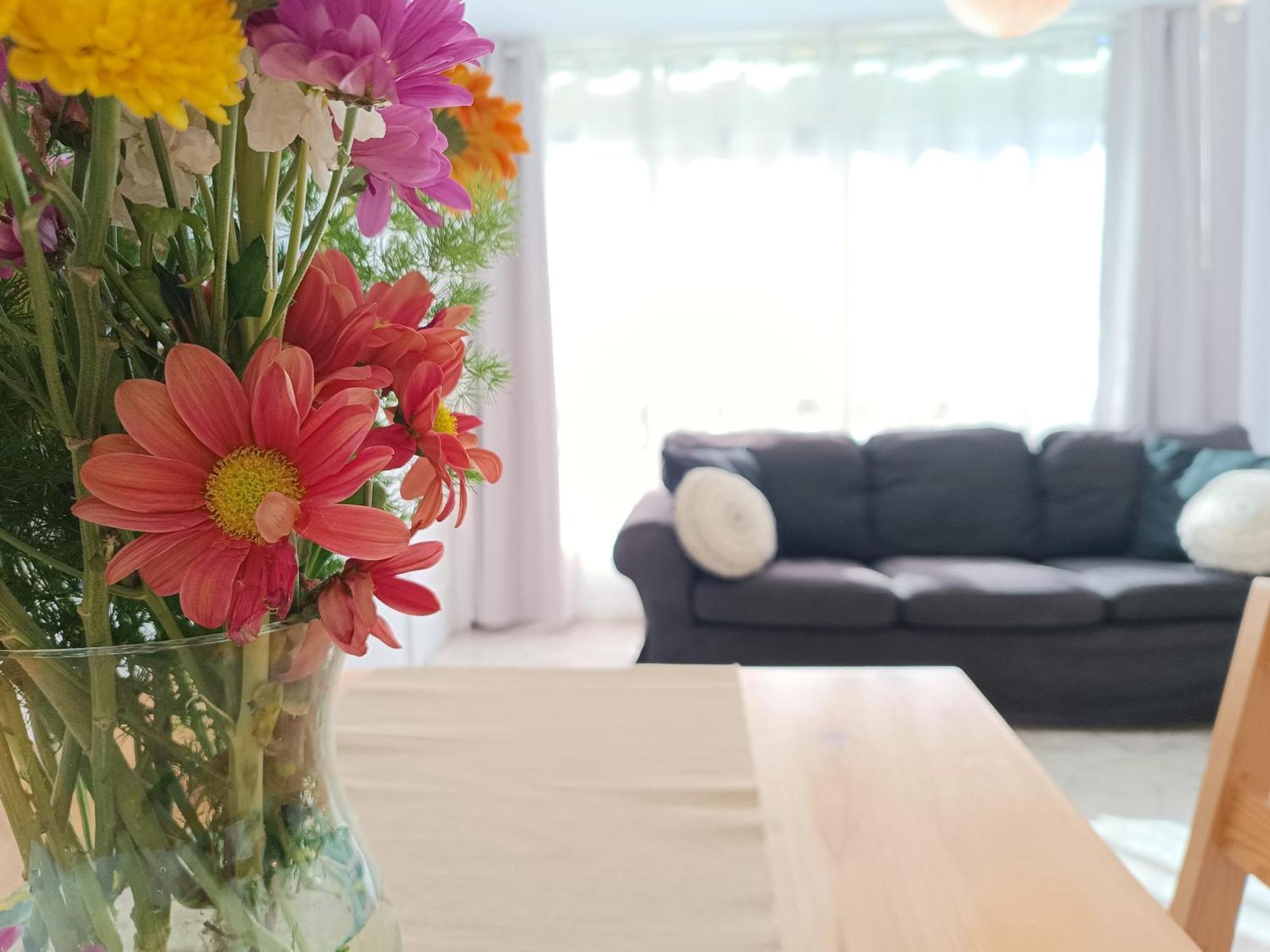 Apartamento En La Playa - Alicante, Costa Blanca - Los Olivos Zewnętrze zdjęcie